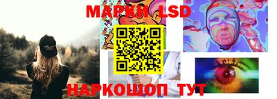 амф Сланцы