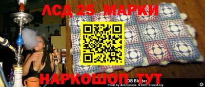амф Сланцы