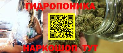 соль ск Славгород