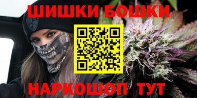 амф Сланцы