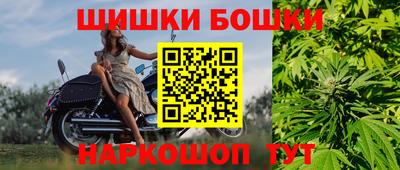 соль ск Славгород