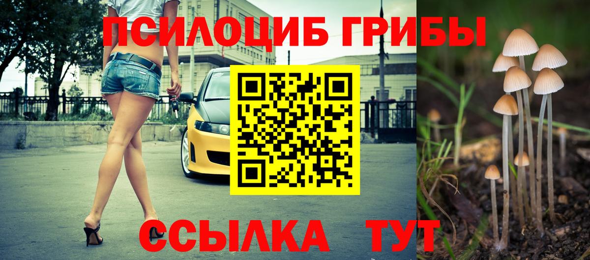 Псилоцибиновые грибы Psilocybe  Галлюциногенные грибы Cubensis  купить   Пенза  Вход с VPN 